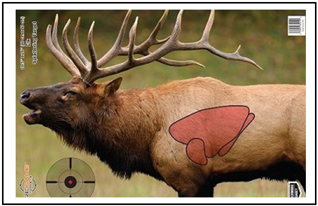 Elk Shot Placement