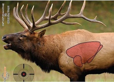Elk Vitals