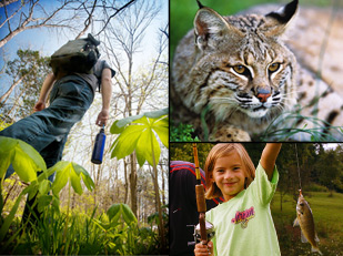 Man hiking, wildcat, and girl fishing